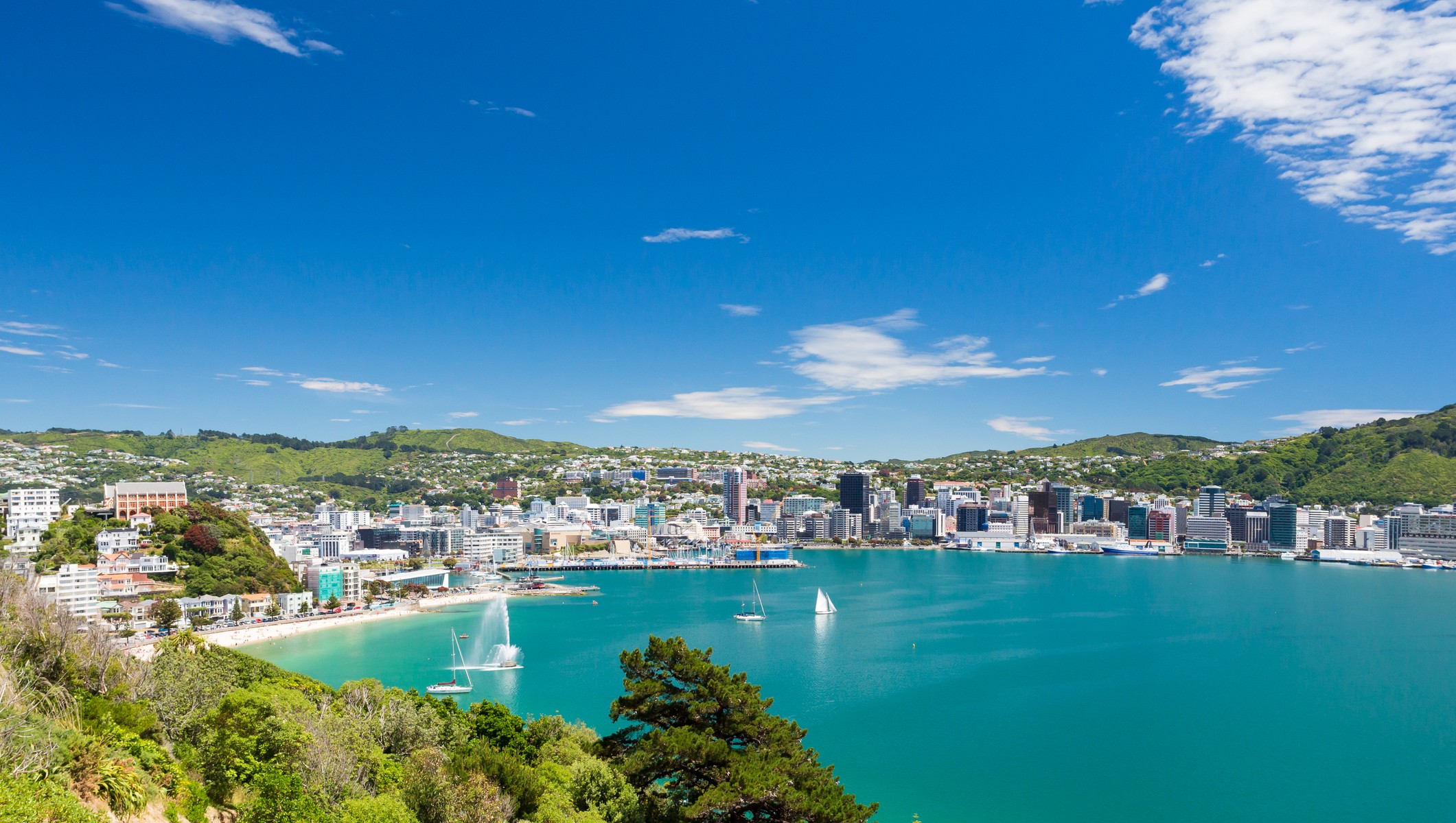 Wellington harbour & city