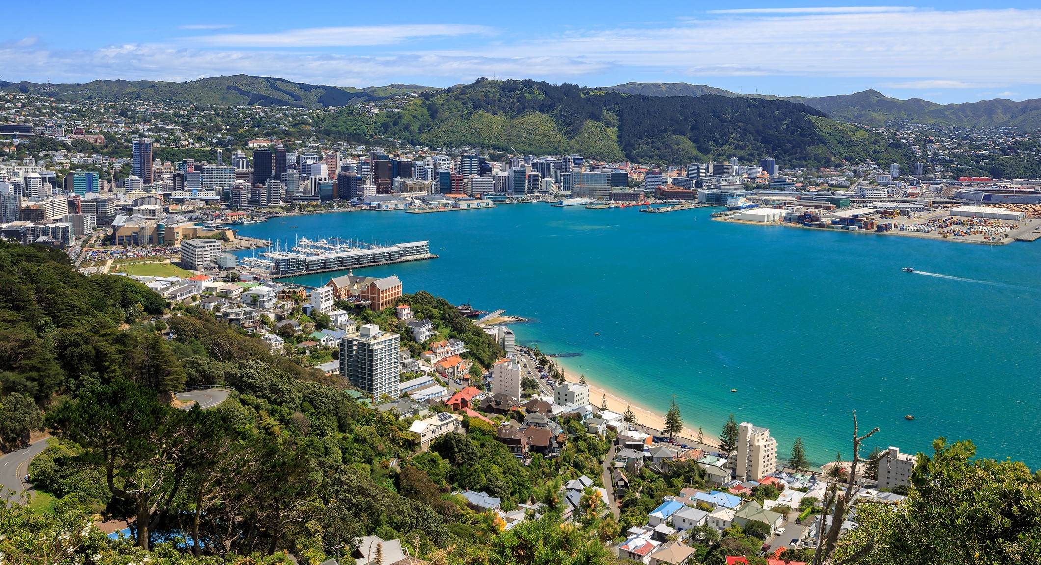 Wellington harbour & city