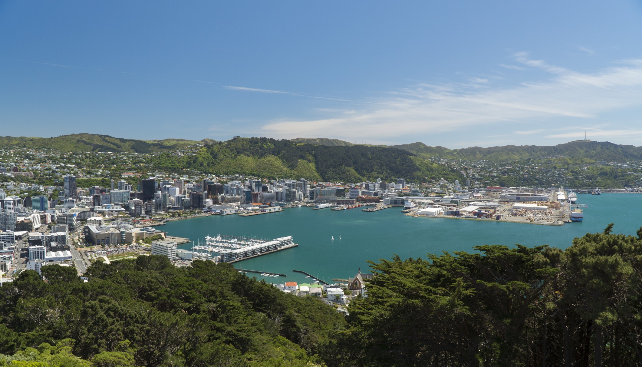Wellington harbour & city
